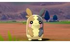 Pokemon Shield - Nintendo Switch