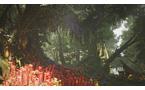 Monster Hunter Wilds - Xbox Series X