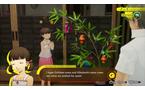 Persona 4 Revival - PlayStation 5