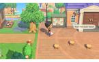 Animal Crossing: New Horizons - Nintendo Switch 2